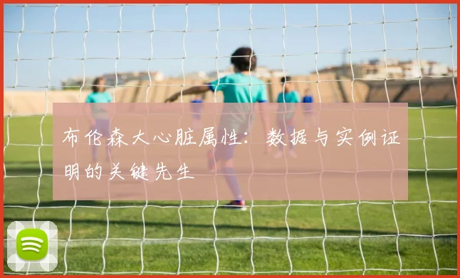 布伦森大心脏属性：数据与实例证明的关键先生